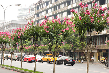 夏日自然风景图片