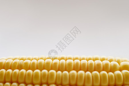 白色高光光点诱人的玉米粒背景
