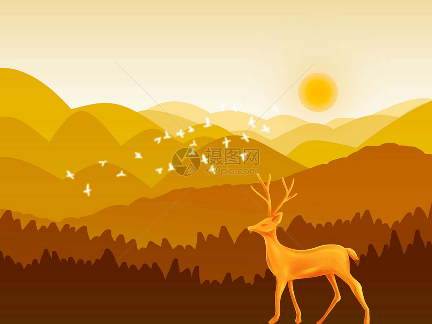 看日落的鹿图片
