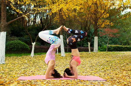 户外秋天公园瑜伽高清图片