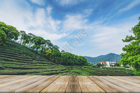 天蓝白云茶园木板背景设计图片