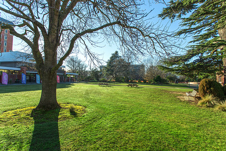 大学外景基督城新西兰高清图片