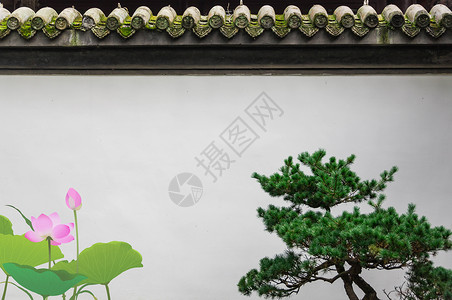 微型盆景素材中国风素材背景设计图片