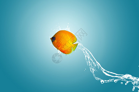 水中鱼跃出水面的鱼设计图片