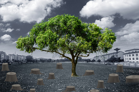 珍惜环保树桩与大树设计图片