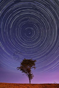 星轨闪烁树闪耀高清图片