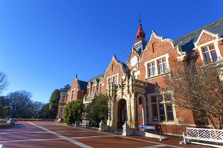 无人图书馆新西兰林肯大学背景