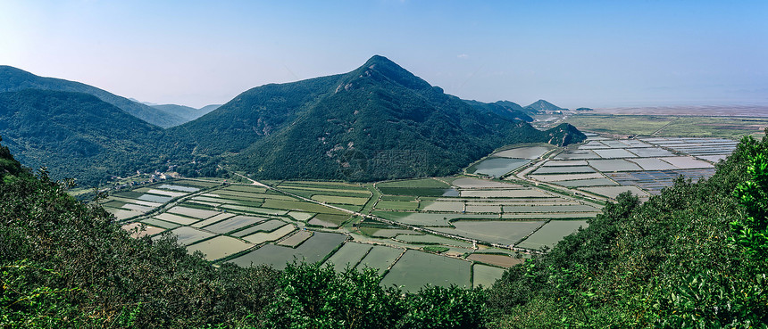 俯瞰田间图片