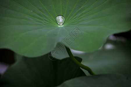 清凉一夏背景图片