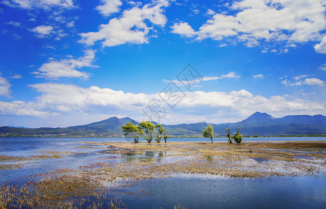 长沙洋湖湿地公园丽江拉市海湿地背景