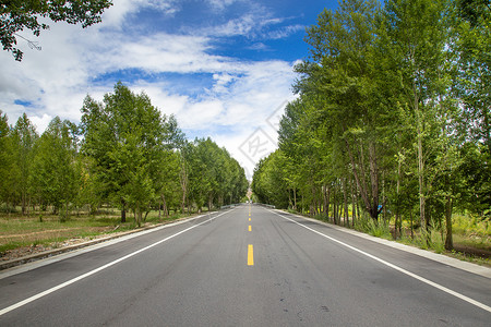 西藏红花西藏道路风光小景特写背景