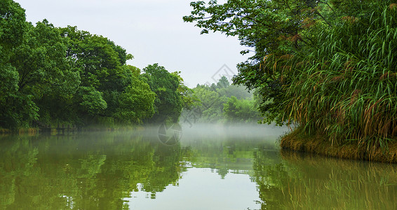 沪杭雨中盛夏图片