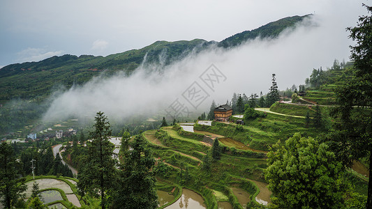 贵州农业黔东南的梯田和晨雾背景