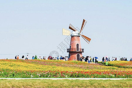 荷兰风车典型的荷兰人高清图片