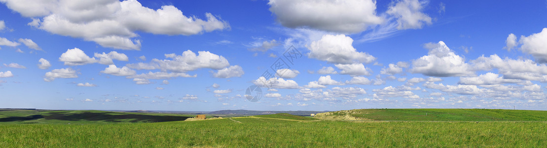草原上绵绵咩草原上的蓝天白云背景