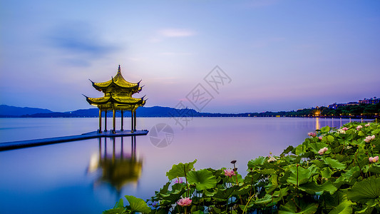 简约建筑背景西湖集贤亭与荷花背景