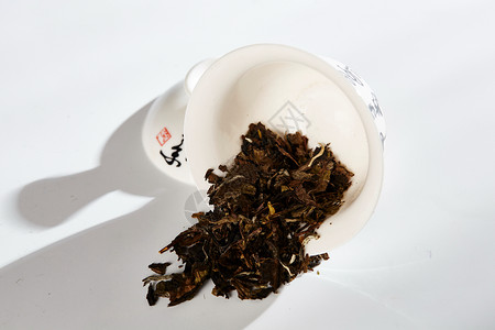 老君眉茶龙井茶树老君眉高清图片