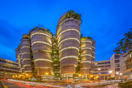 大学城市建筑新加坡南洋理工大学背景