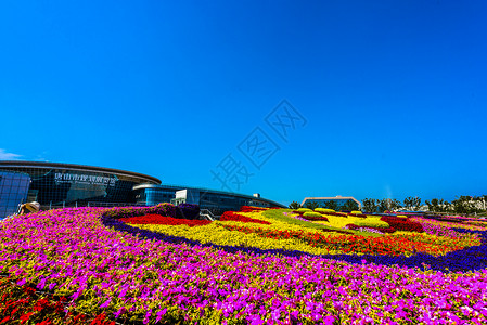 唐山建筑唐山规划馆门前的鲜花背景