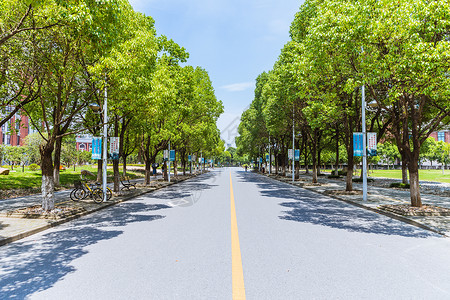 上海华东政法大学校园路背景图片