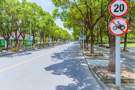 上海华东政法大学校园路背景图片