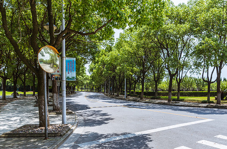 上海华东政法大学校园路图片