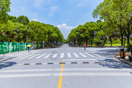 上海华东政法大学校园路高清图片