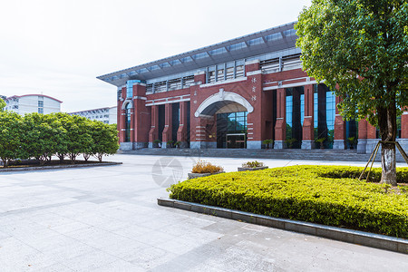 上海华东政法大学体育馆图片