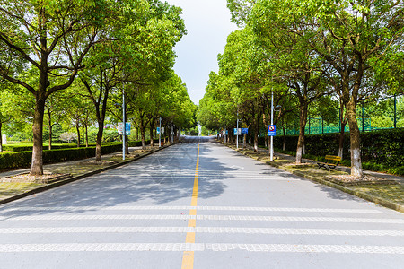 上海华东政法大学校园路背景图片