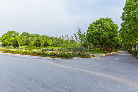 上海视觉艺术学院校园路背景图片