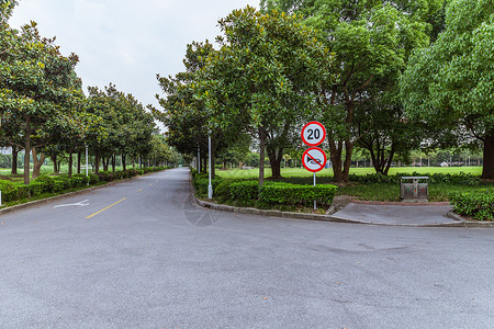 上海视觉艺术学院校园路图片