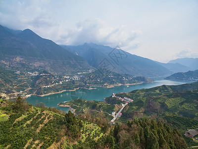 秭归橙子果林背景