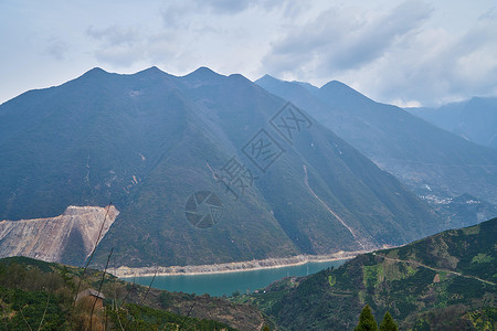 秭归橙子果林背景