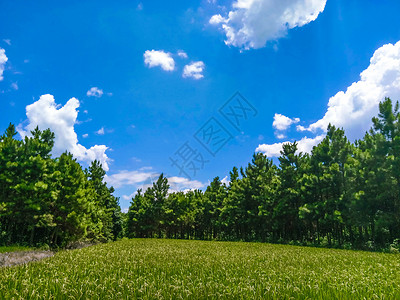 背景素材彩虹蓝天白云天空背景