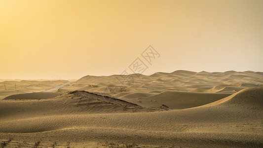 新疆古生态园沙尘暴下的塔克拉玛干大沙漠背景