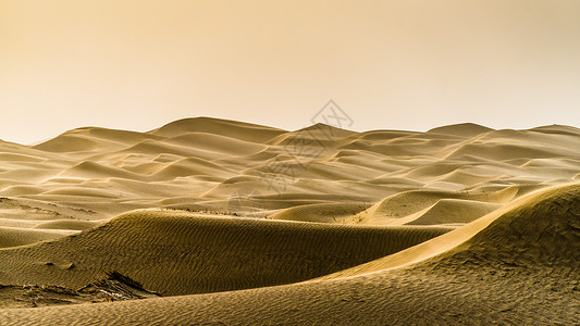新疆古生态园沙尘暴下的塔克拉玛干大沙漠背景