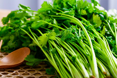 香菜绿色蔬菜微香菜高清图片