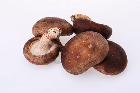 一堆蘑菇香菇背景