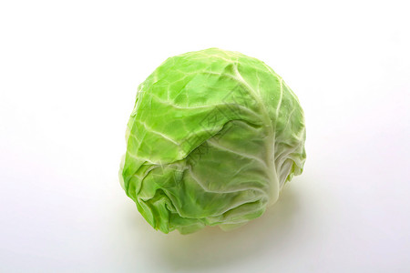 圆白菜叶绿色卷心菜高清图片