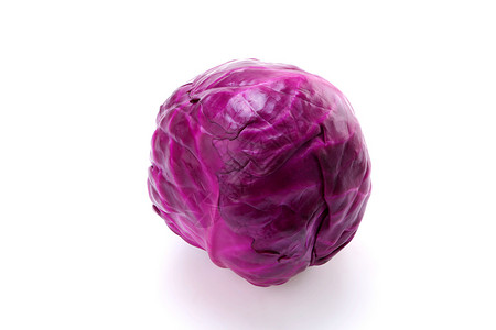 紫甘蓝食物高丽菜高清图片