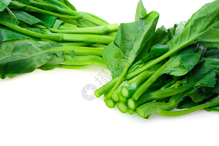 菠菜菠菜菜白色高清图片