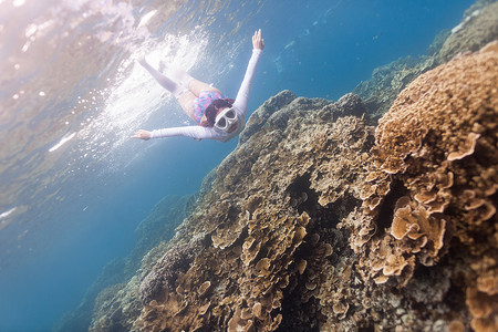 浮潜玫瑰珊瑚高清图片