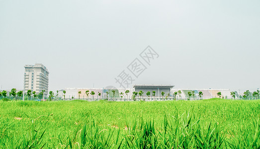 大学校园建筑背景图片