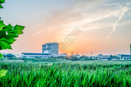 大学校园建筑背景图片