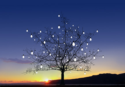 夕阳下的一棵树树影灯泡科技设计图片
