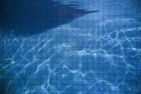 梦幻鲸鱼图片蓝色水纹背景