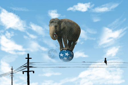 电线杆上的大象设计图片