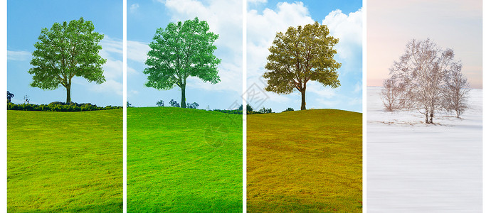 绿草从一年四季设计图片