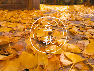 女生躺在落叶上立秋设计图片