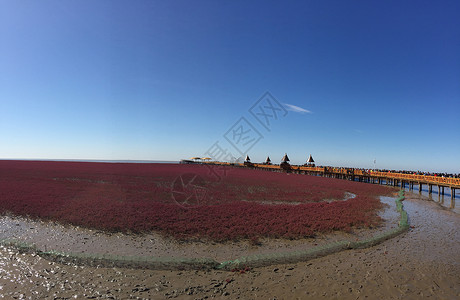 红海滩背景图片
